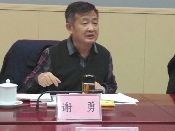 湖南省人大常委会副主任谢勇来攸调研