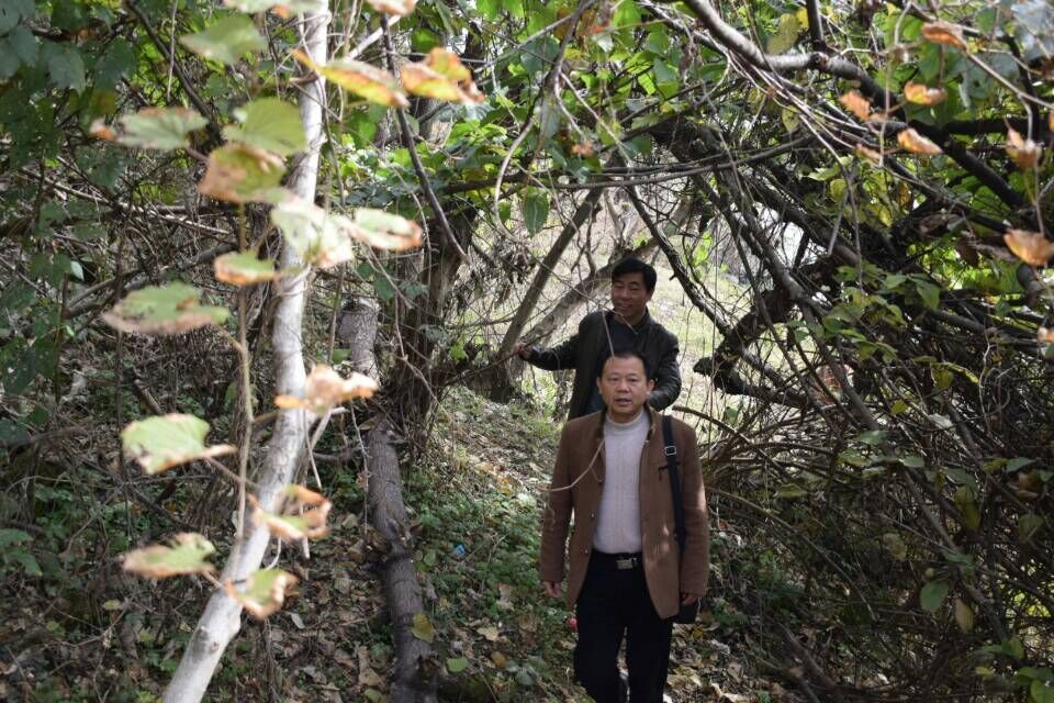 攸县洣水饮用水水源地入河排污口进行重点复查