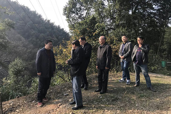 副县长彭顺昌调研S339线酒埠江至网岭公路项目进展情况