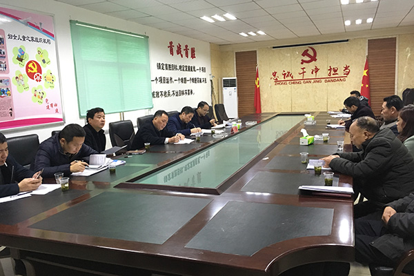 吴爱清到酒埠江镇听取县人大代表、县政协委员意见建议