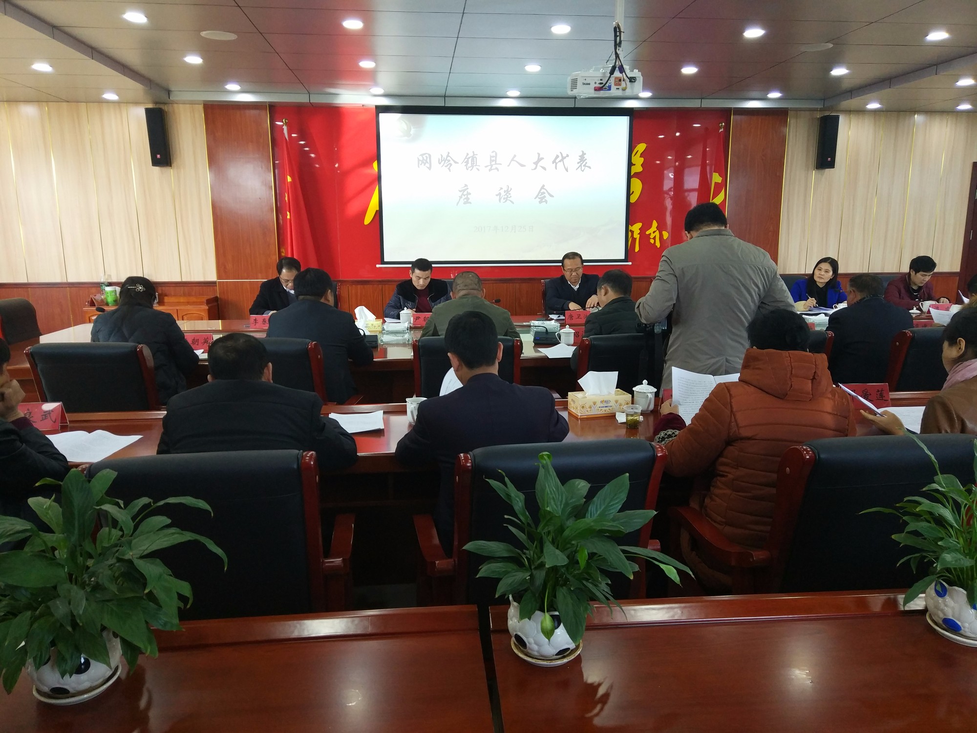 网岭镇召开人大代表座谈会