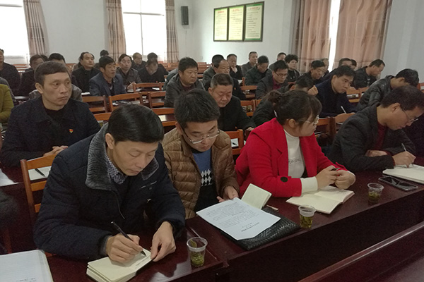 唐卫湘到网岭镇罗家坪村宣讲党的“十九大”精神