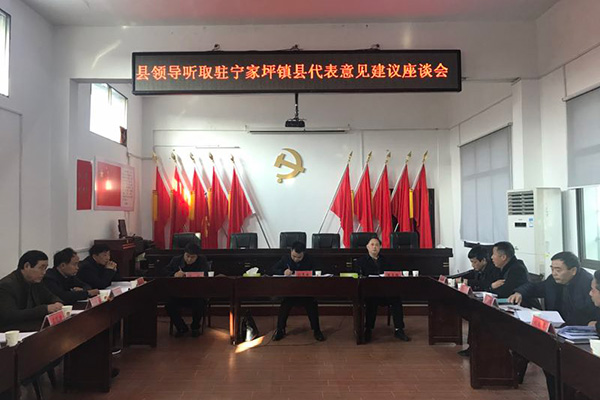 县领导就县人大常委会和“一府两院”工作报告征求县人大代表意见