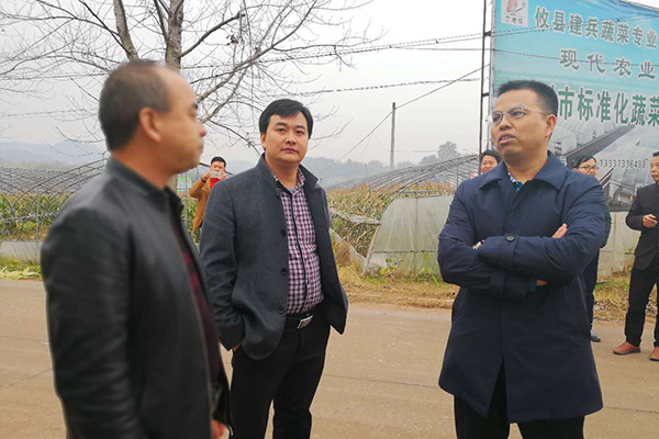 刘秀云到宁家坪笔武村宣讲党的十九大精神