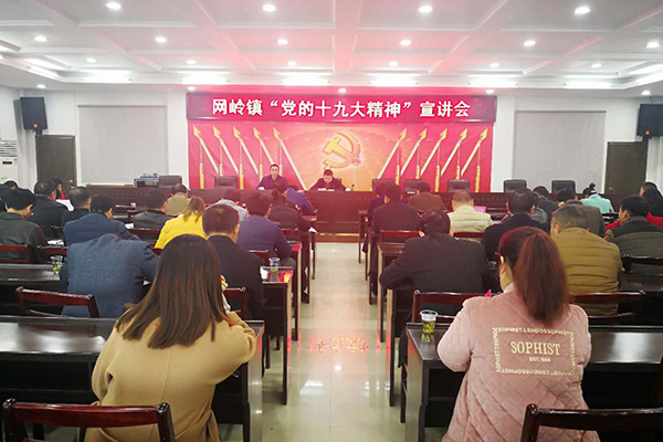 贯彻落实十九大精神：攸县县委宣讲团走进网岭镇