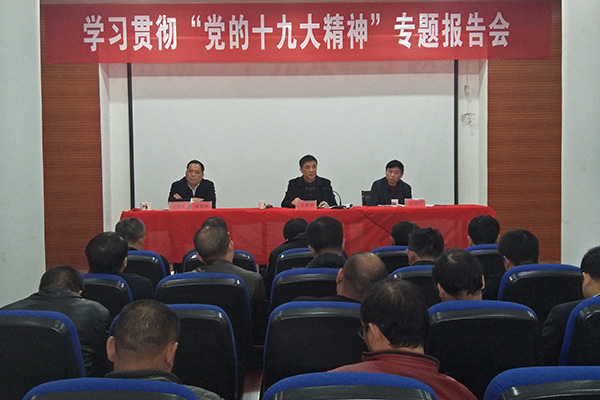 吴爱清到酒埠江镇宣讲“党的十九大精神”