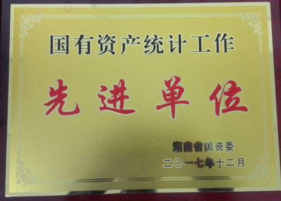 市国资委连续第九次获评湖南省国有资产统计工作先进单位