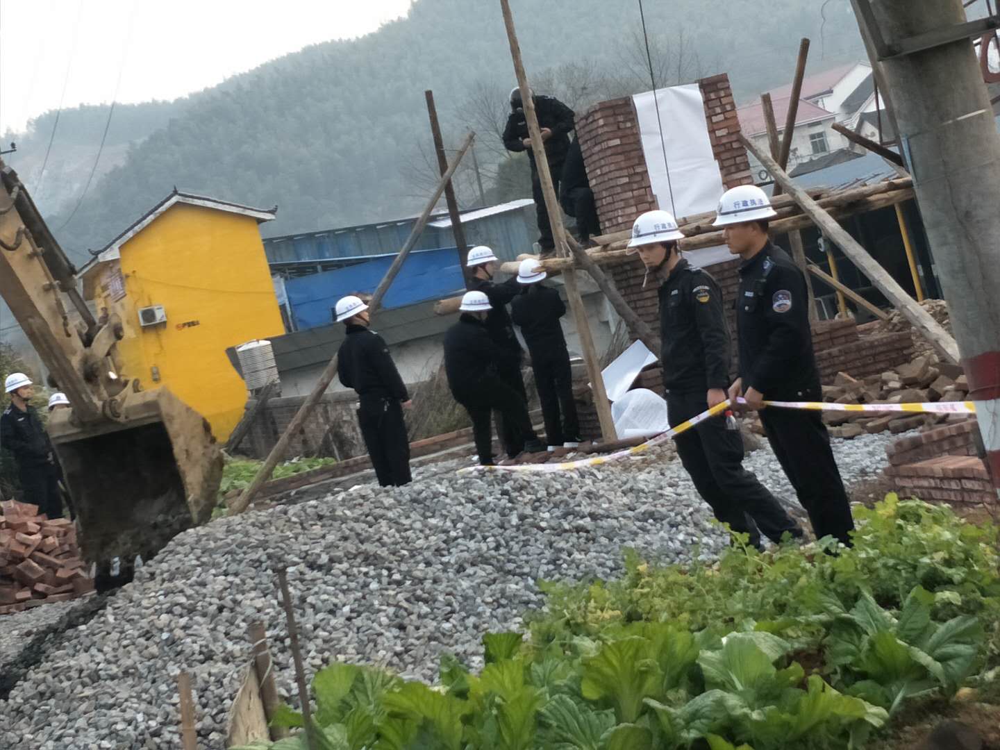 鸾山镇依法强制拆除一处违法建设