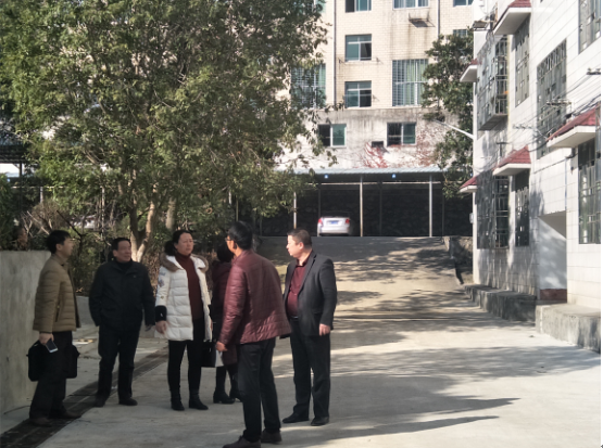 市审计局攸县审计组审计黄丰桥中心卫生院公租房项目