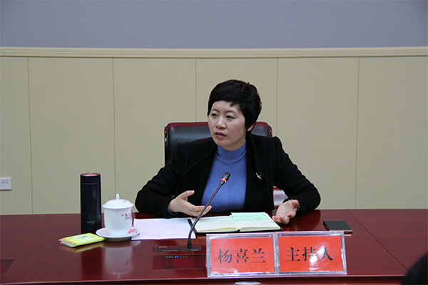 攸县农家书屋建设座谈会暨2018宣传思想文化战线务虚会召开