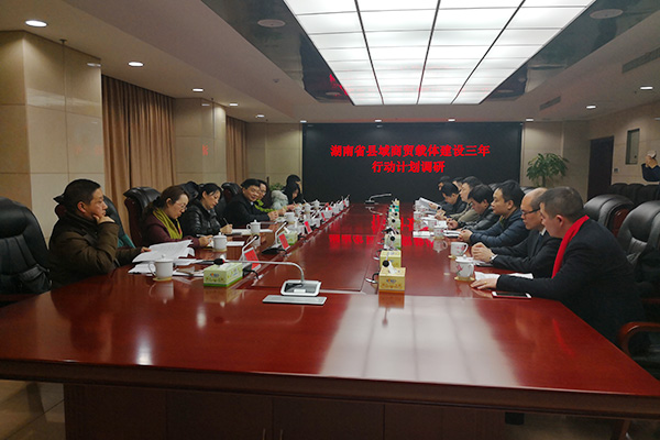 省商务厅调研组来攸调研县域商贸载体发展工作