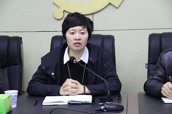 攸县宣传文化战线传达学习县委全会精神