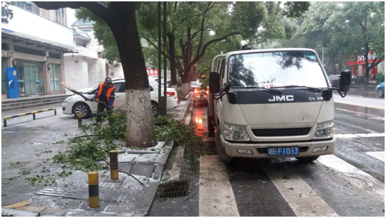 冰雪无阻 绿化人在路上