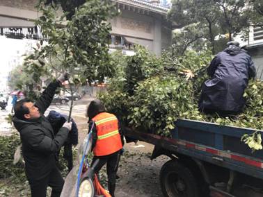 芦淞城建人迎战冰雪保畅通