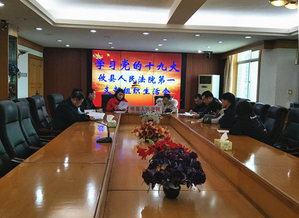 攸县法院各支部召开2017年组织生活会