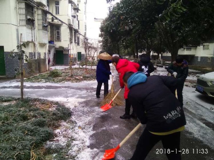 寒潮来袭 枫溪街道抗击冰冻在路上