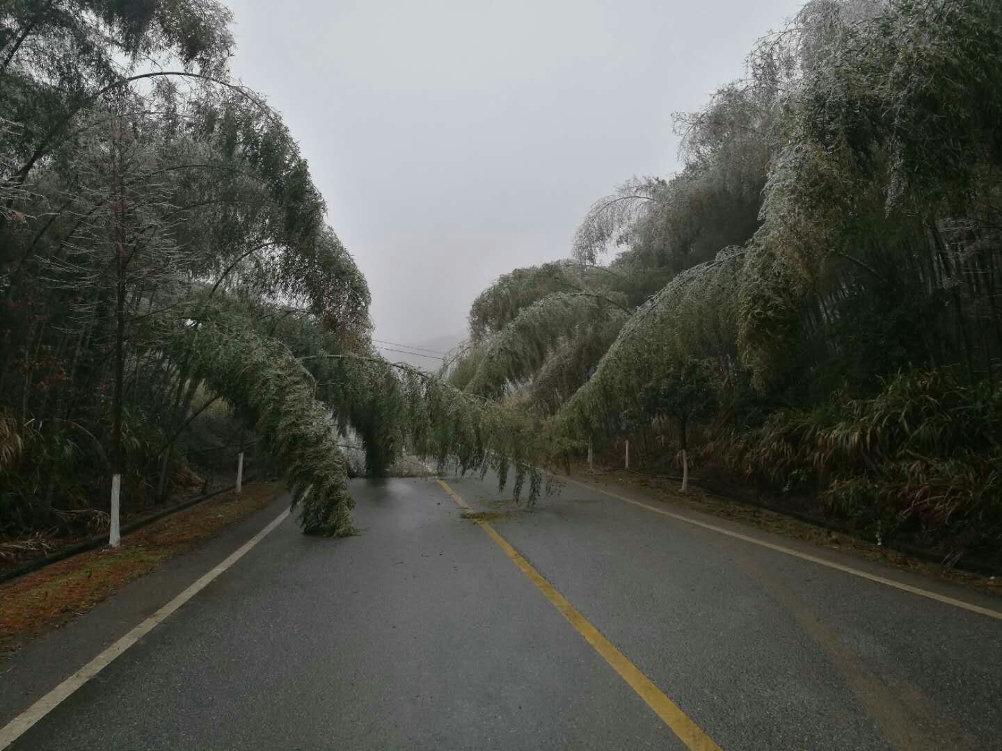 攸县公路局全力抓好低温雨雪天气公路保畅工作