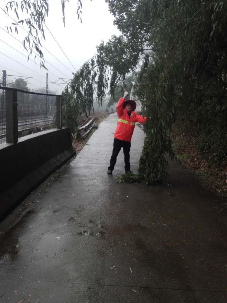 寒潮来袭 枫溪街道抗击冰冻在路上