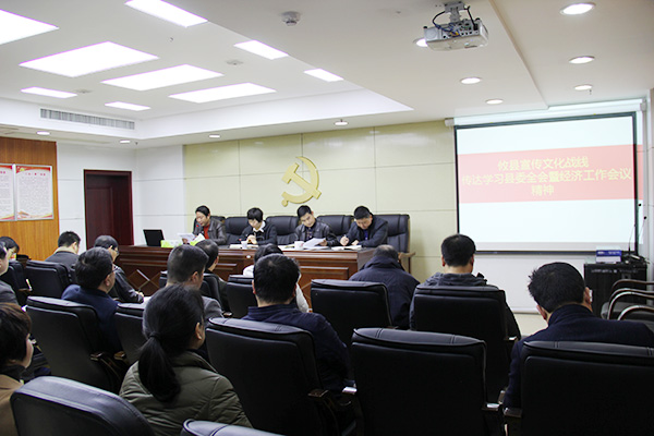 攸县宣传文化战线传达学习县委全会精神