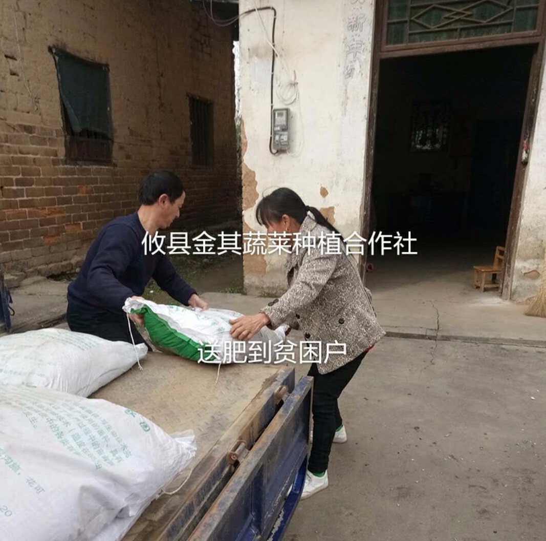 谭桥街道金其蔬菜种植专业合作社助力脱贫