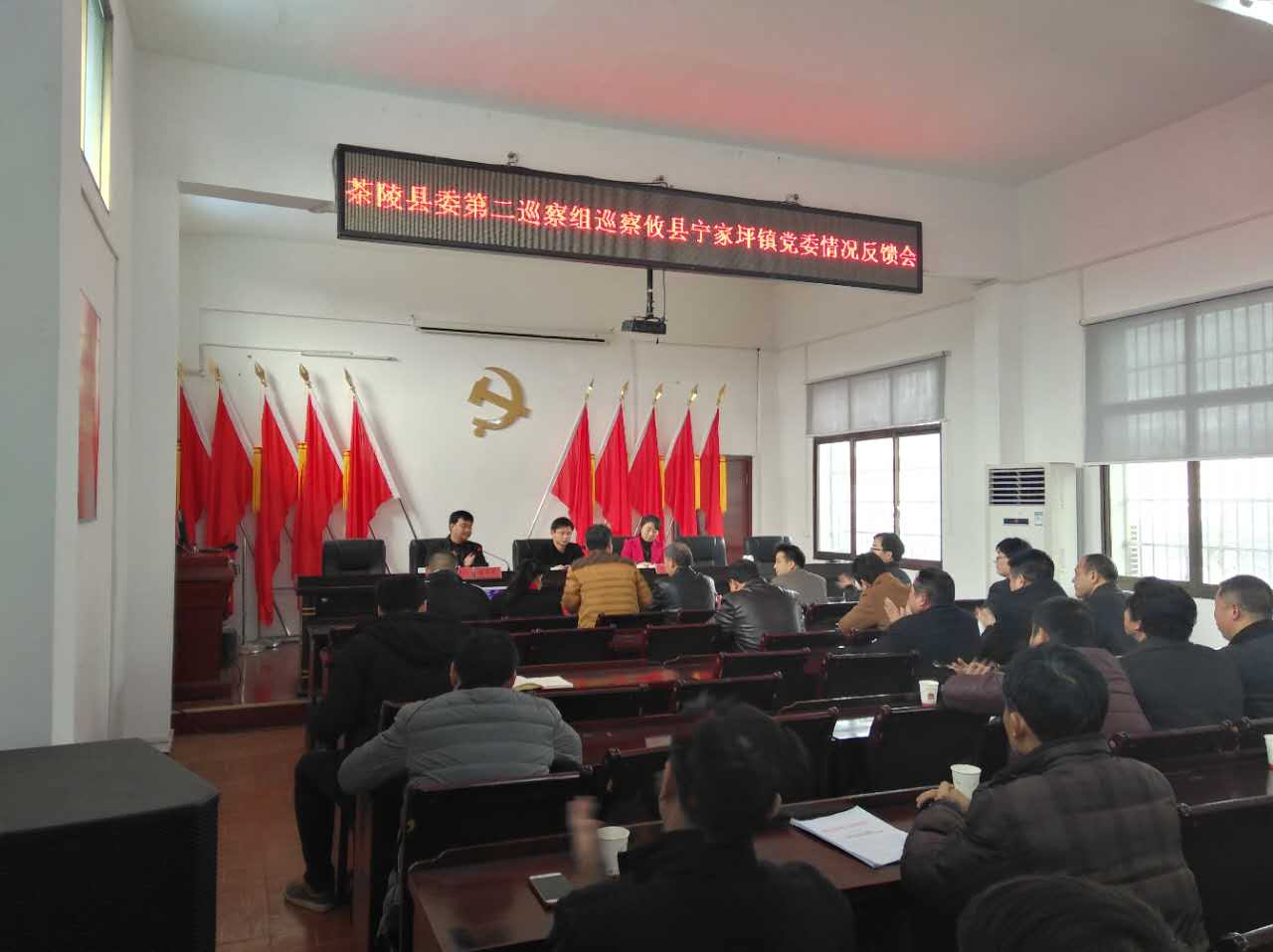 宁家坪镇召开茶陵县委第二巡察组巡察情况反馈会
