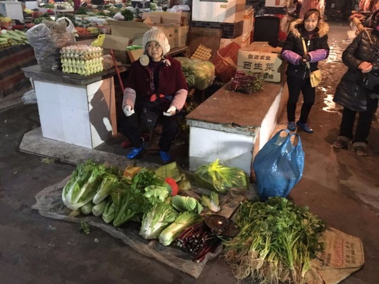 冰雪无情人有情，芦淞城管暖人心 -----芦淞区城管大队六中队爱心帮扶菜农