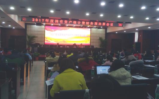 ​全市国有资产统计暨国资系统财务预决算工作会议召开