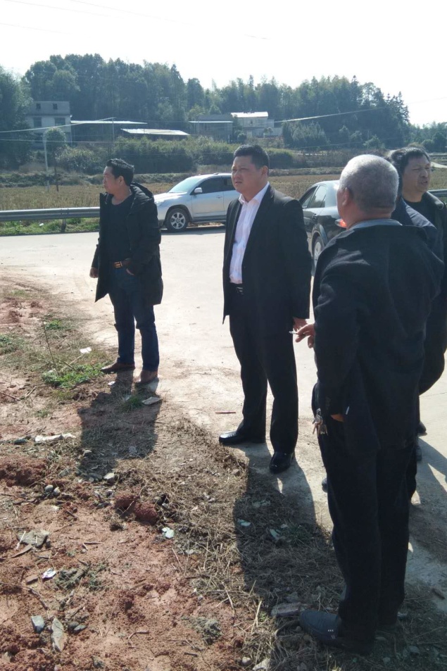 副区长杜益到白关视察种植结构调整落实情况