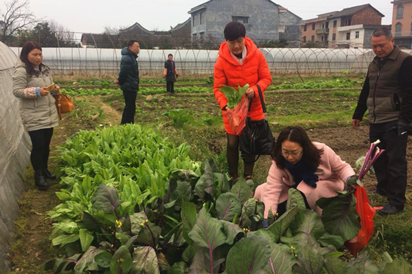 县农业局：全方位监管编织节前农产品质量“安全网”