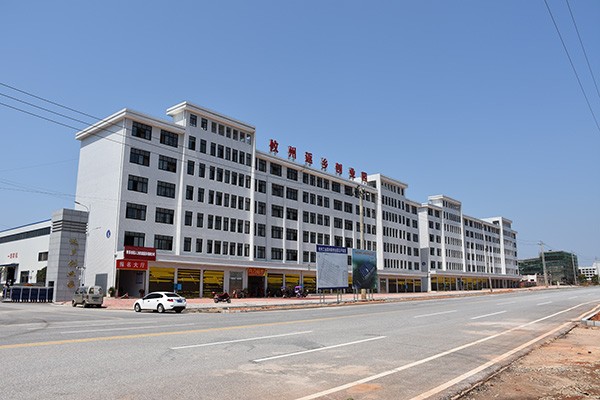 王建之到攸州工业园调研企业发展