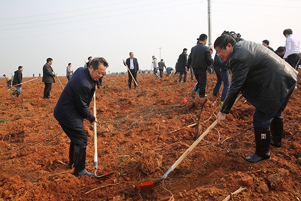 【植树节】攸县义务植树200万株　全民共赴自然之约