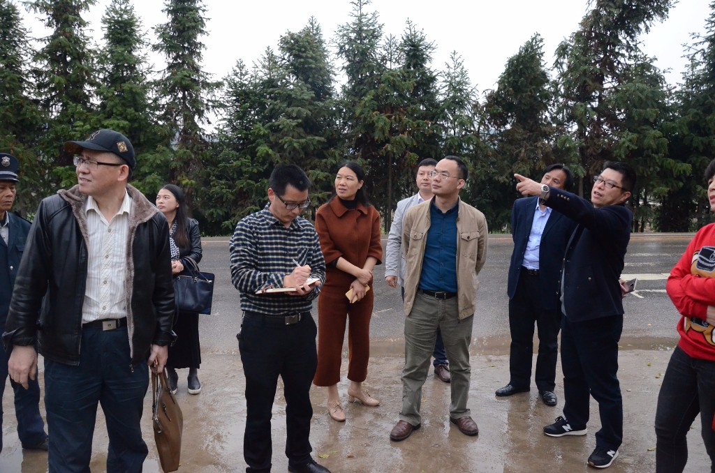 芦淞区迎接“中小学校责任督学挂牌督导创新区”市级评估