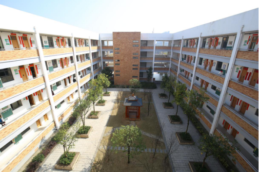 天元小学:红红火火迎新春,欢欢喜喜开学季