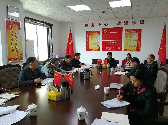 市统计局第四支部开展高质量组织生活会