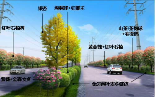 2018株洲市城市绿荫行动发布会召开