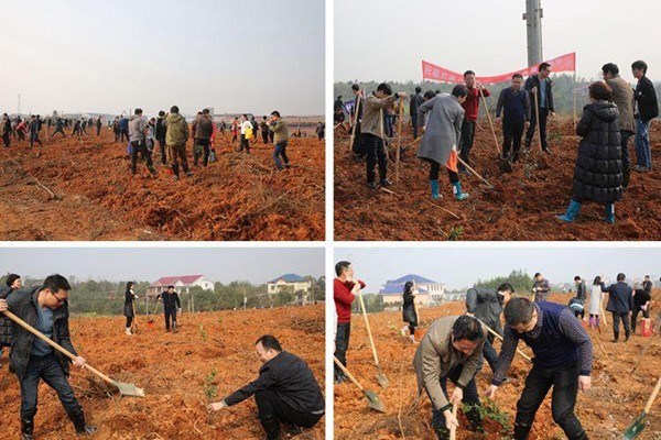 【植树节】攸县义务植树200万株　全民共赴自然之约