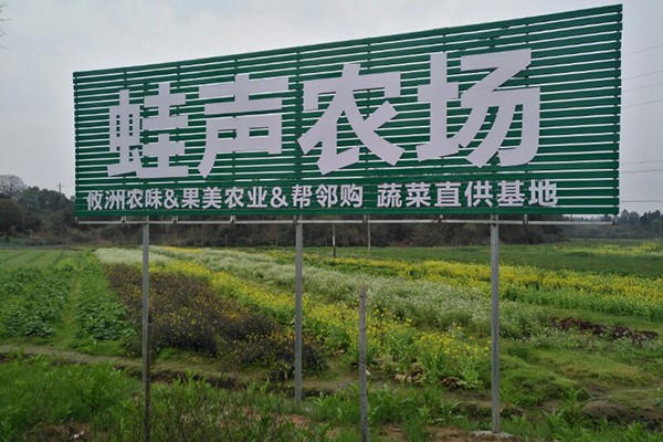 新春走基层:攸县采用“互联网 ”模式 跳出农业做农业