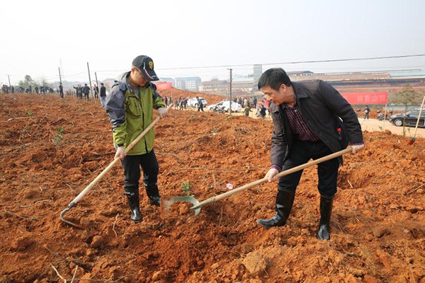 【植树节】攸县义务植树200万株　全民共赴自然之约