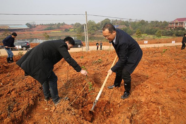 【植树节】攸县义务植树200万株　全民共赴自然之约