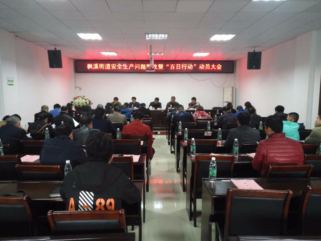 枫溪街道召开安全生产问题整改暨“百日行动”动员大会