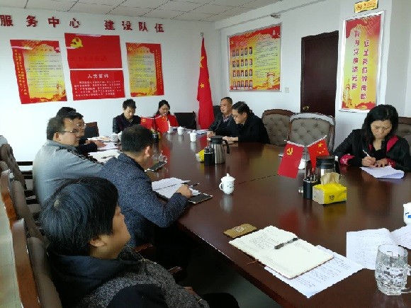 市统计局第四支部开展高质量组织生活会