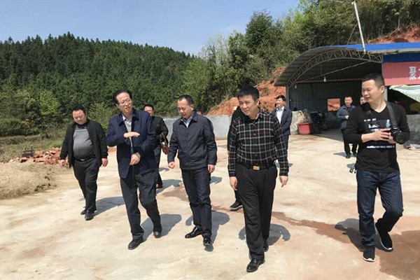 蔡溪来攸指导脱贫攻坚巩固提升工作