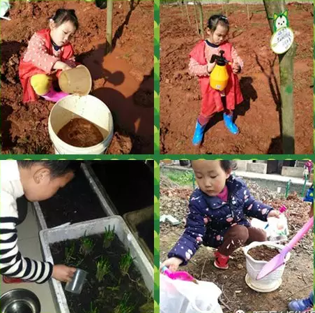 火炬幼儿园:绿色小卫士在行动