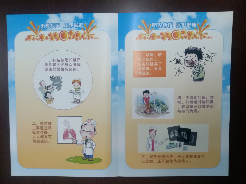 芦淞区开展结核病防治宣传