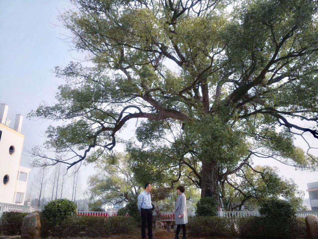 开学第一天,朱金辉到学校重点关注这几件事