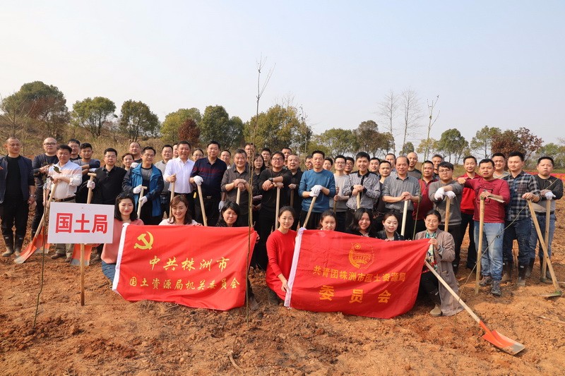 我局机关党委组织干部职工义务植树活动