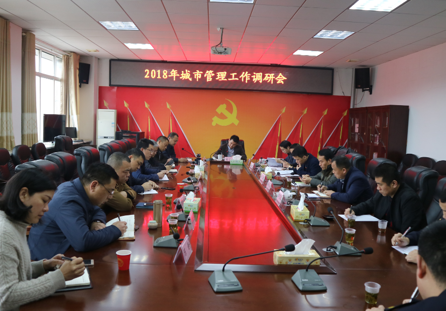 副区长肖立志调研城市管理工作 推进城管体制改革