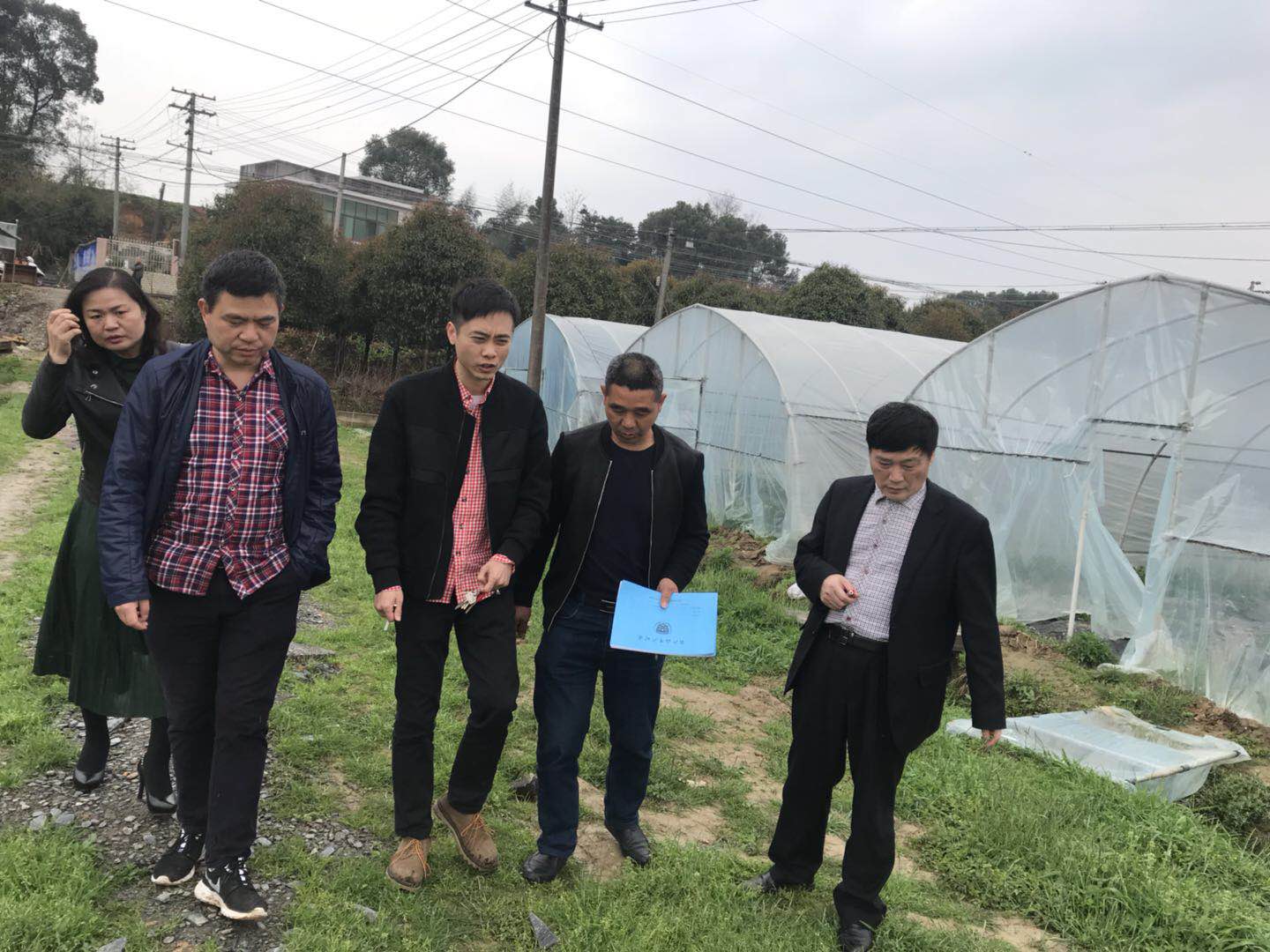 区农村工作局开展农产品质量安全巡查