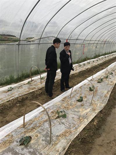 区农村工作局走访调研我区特色农业发展