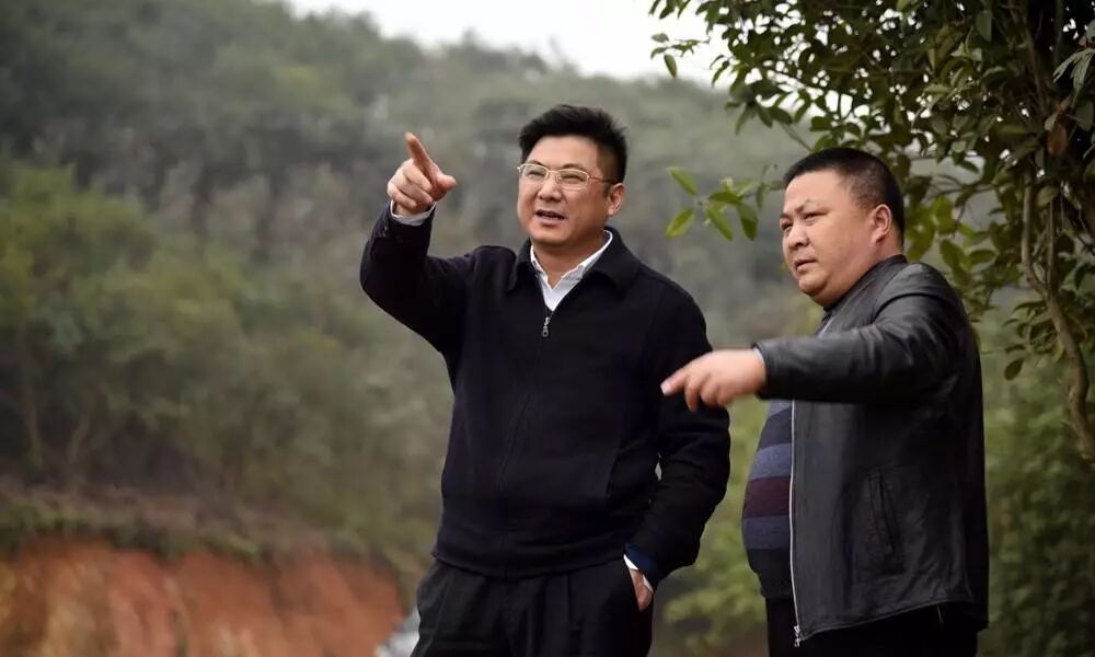 付访华调研云峰森林植物园强调：提进度 出特色 铸精品